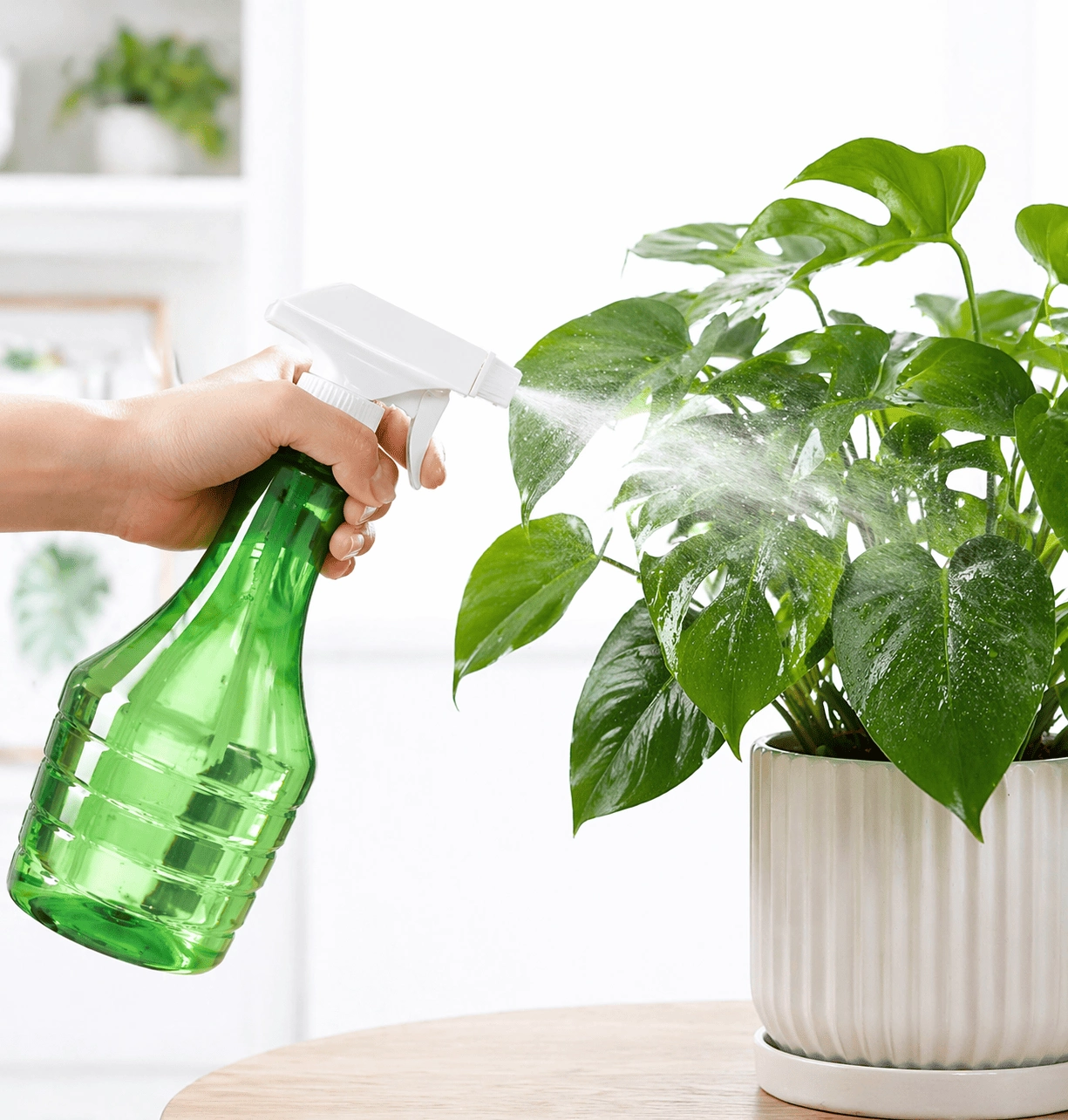 Çok Amaçlı Fısfıs Çiçek Sulama Şeffaf Su Sprey Şişesi 500 Ml