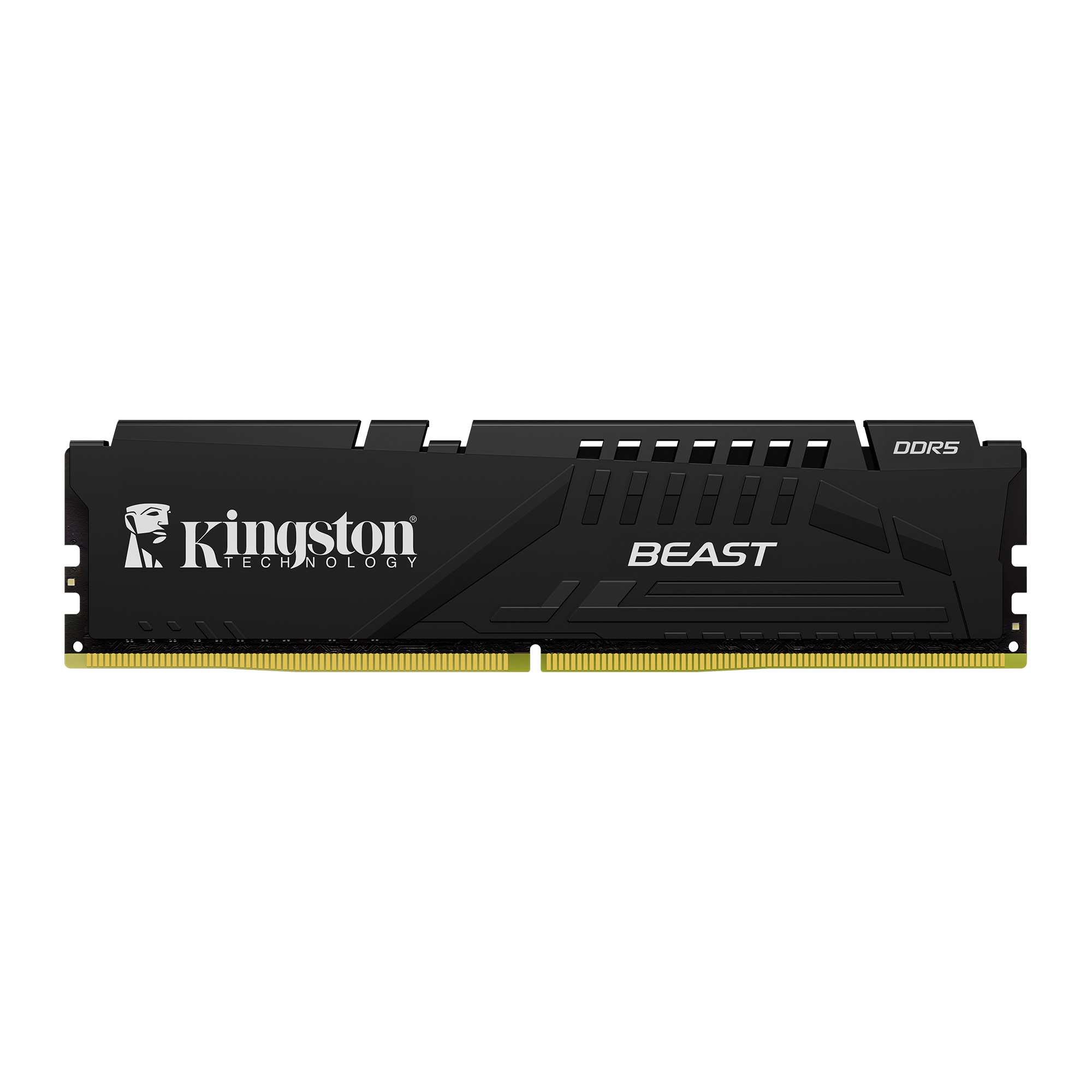 16Gb Ddr5 5600Mhz Cl36 Dımm Kf556C36Bbe-16Tr Kıngston Beast Soğutuculu 1X16G