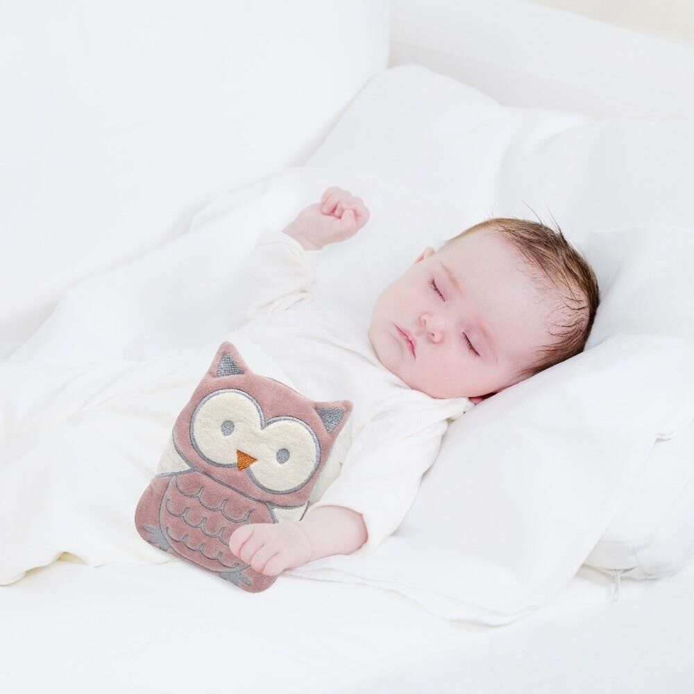 Babyjem Ki̇raz Çeki̇rdekli̇ Baykuş Kadi̇fe Gaz Yastığı 366 Gül Kurusu