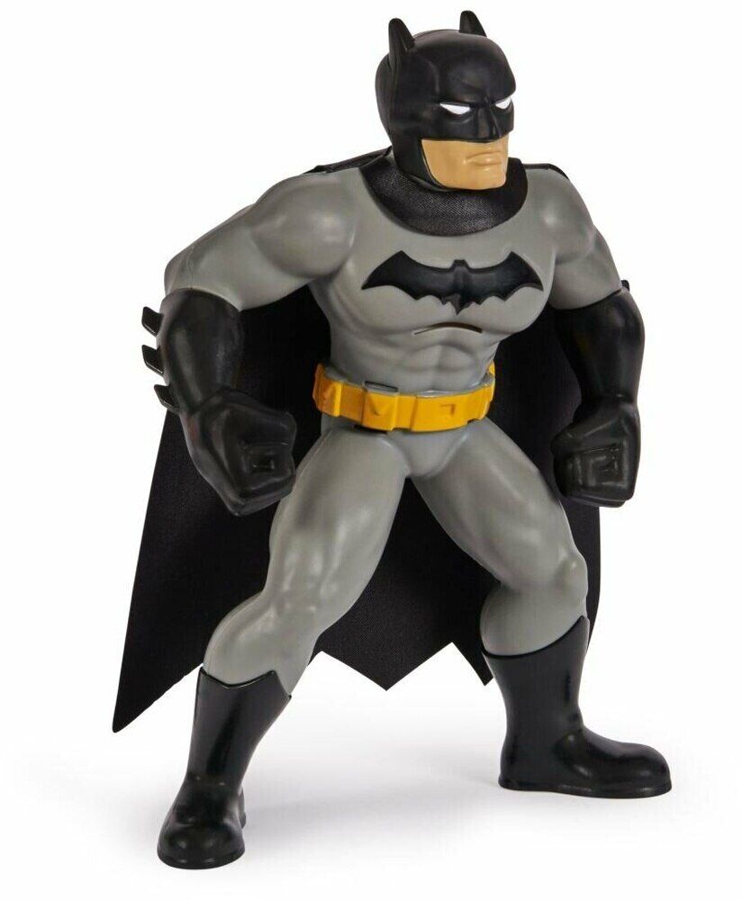 Batman Yüzme Arkadaşları - 6067008