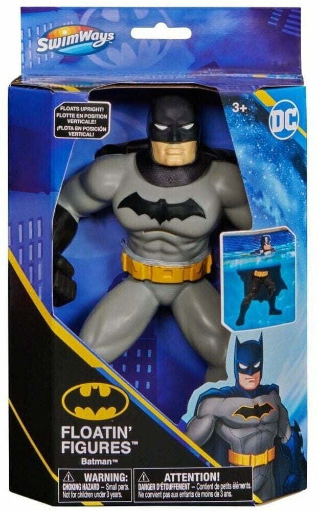 Batman Yüzme Arkadaşları - 6067008