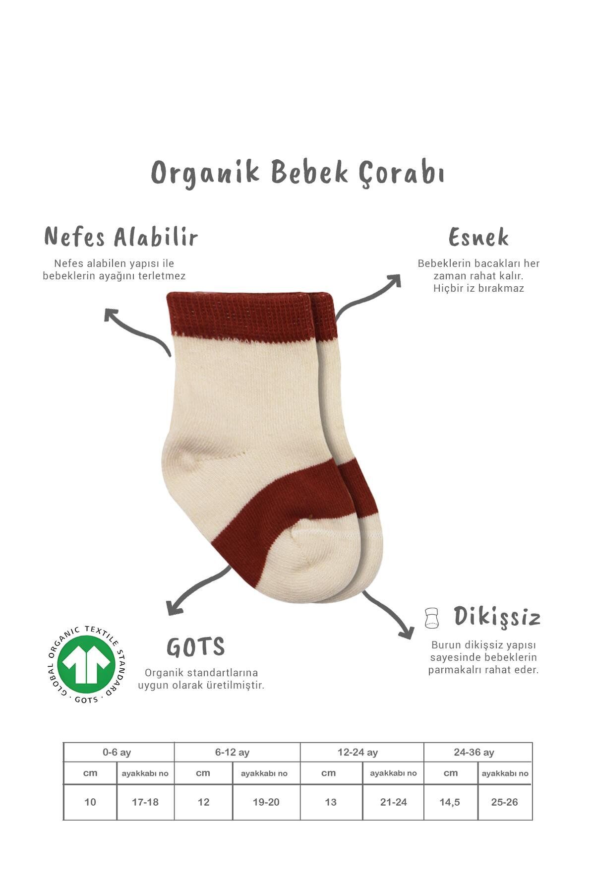 Bi̇style 3 Lü Penye Rai̇nbow Soket Çorap Bs10113 Ki̇remi̇t