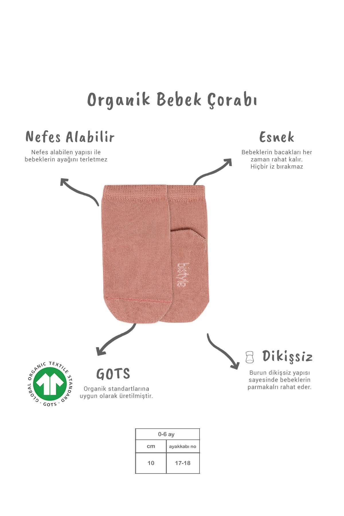 Bi̇style 5 Li̇ Penye Soket Kutulu Basi̇c Çorap 10131 Pudra