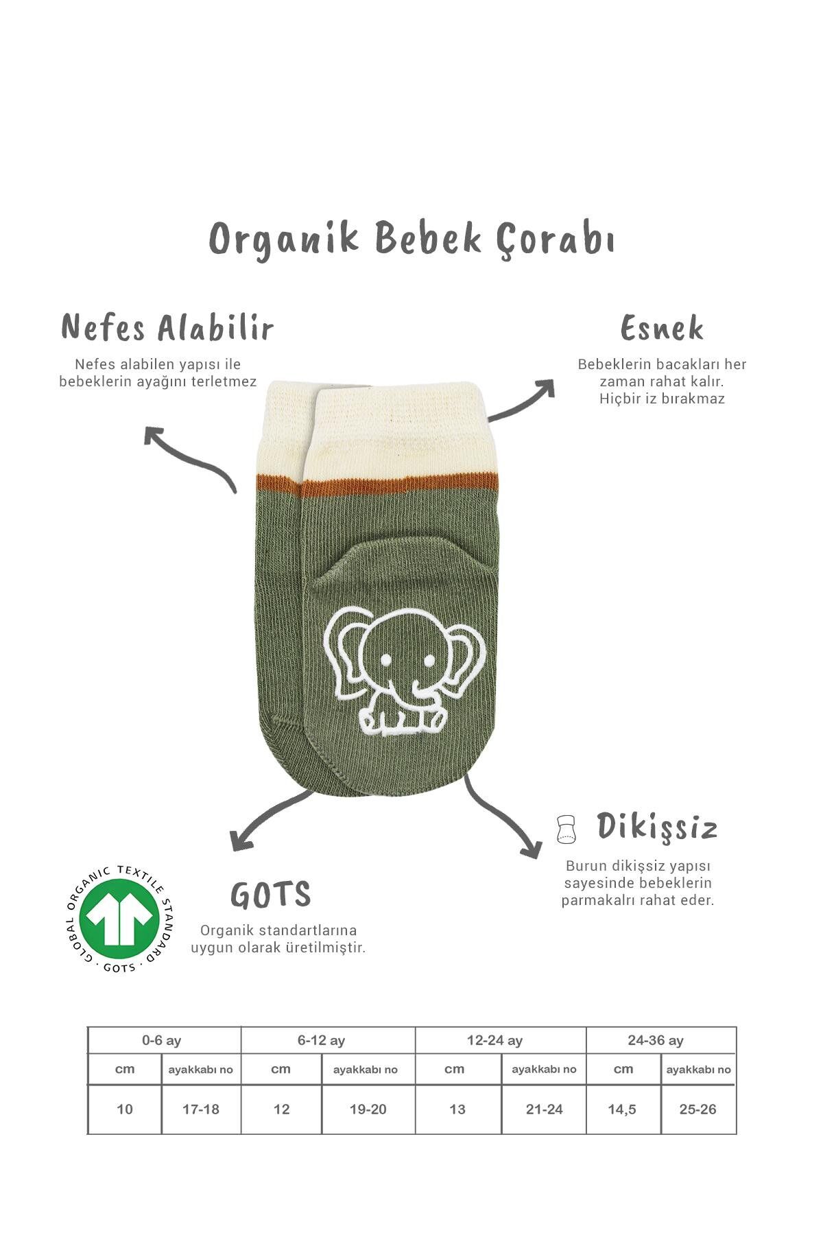 Bi̇style Hayvan Fi̇gür Kaymaz Kız Soket Çorap 2 Li̇ Bs10120 Ni̇l