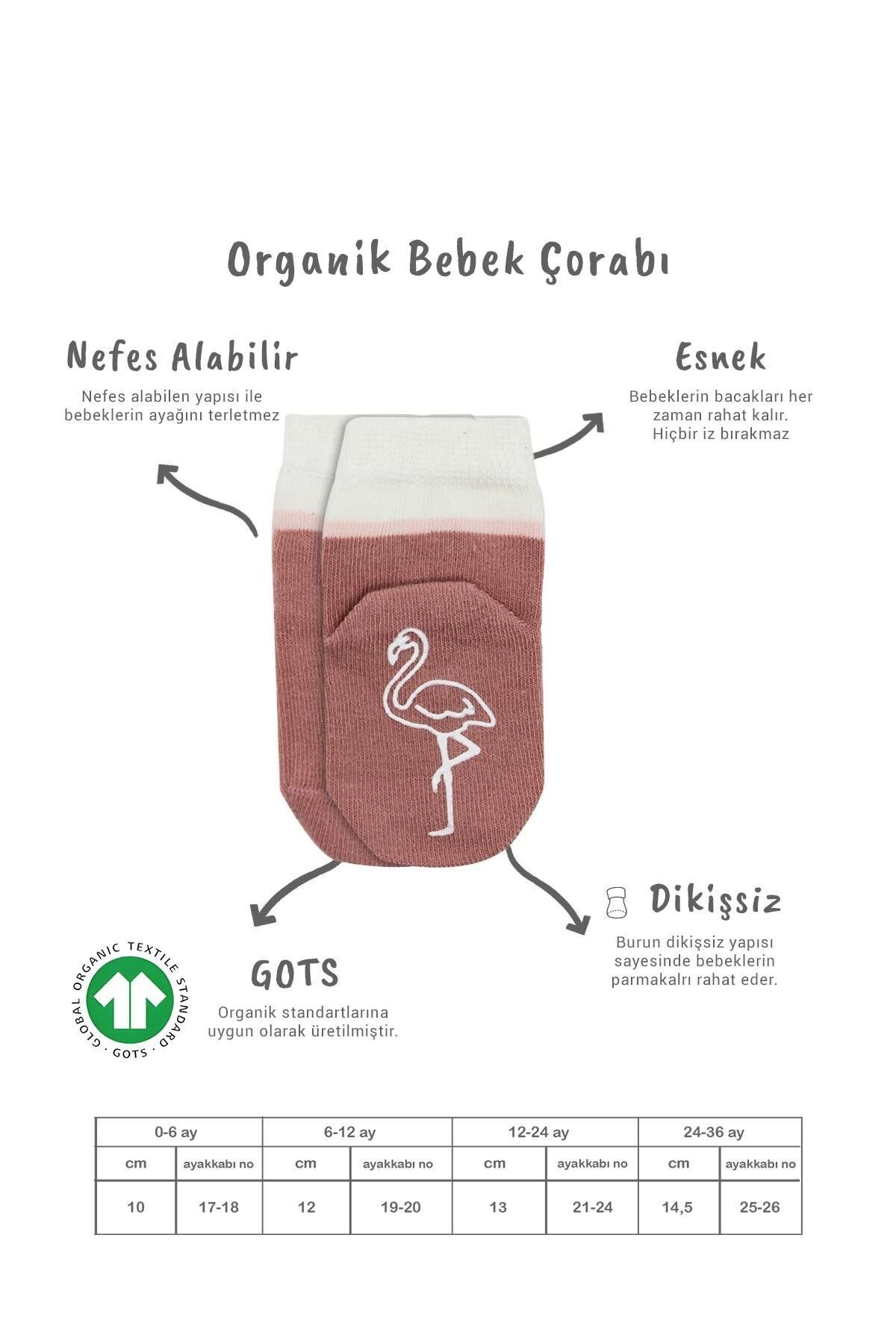 Bi̇style Hayvan Fi̇gür Kaymaz Kız Soket Çorap 2 Li̇ Bs10120 Pudra