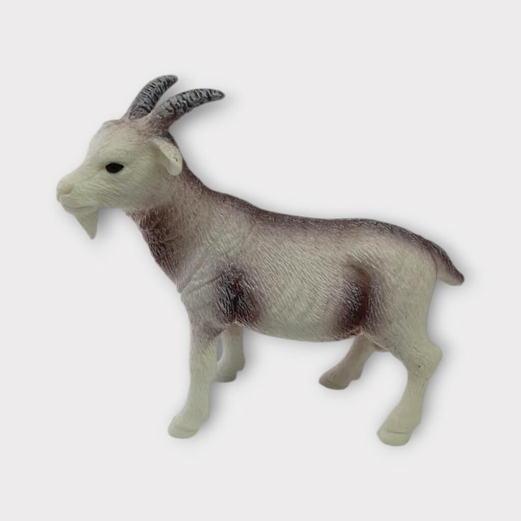 Çi̇ftli̇k Hayvanları - Keçi̇