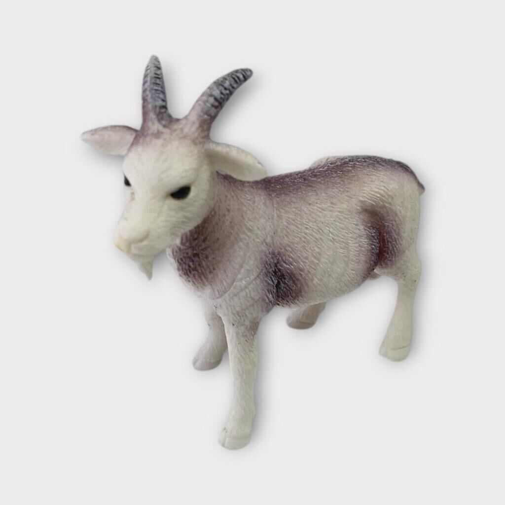 Çi̇ftli̇k Hayvanları - Keçi̇