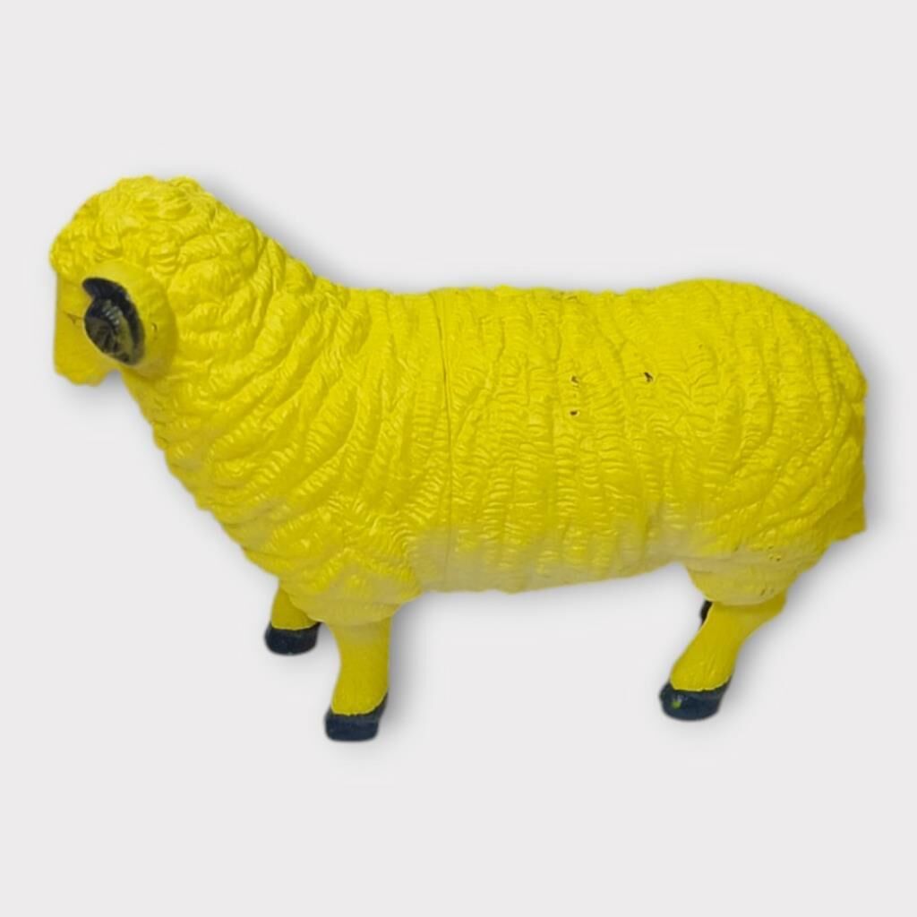 Çi̇ftli̇k Hayvanları - Koyun