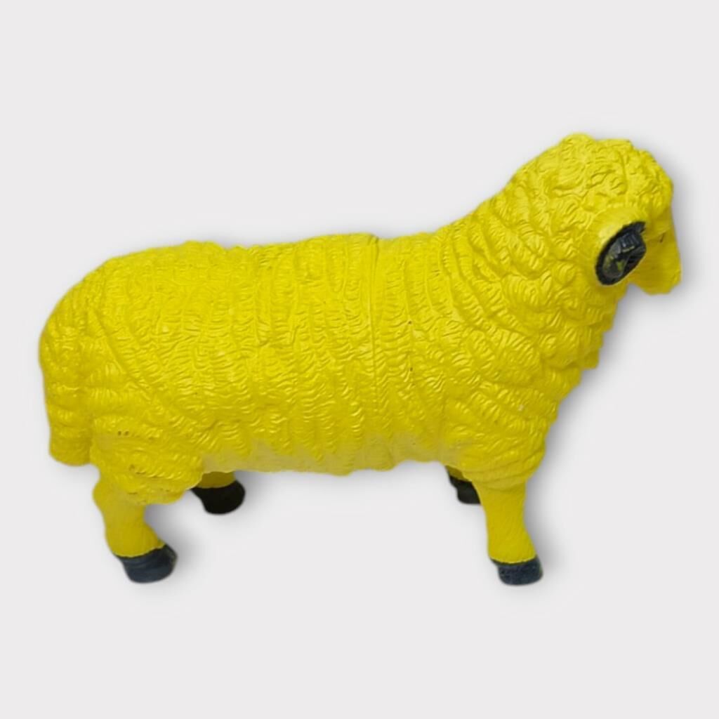 Çi̇ftli̇k Hayvanları - Koyun