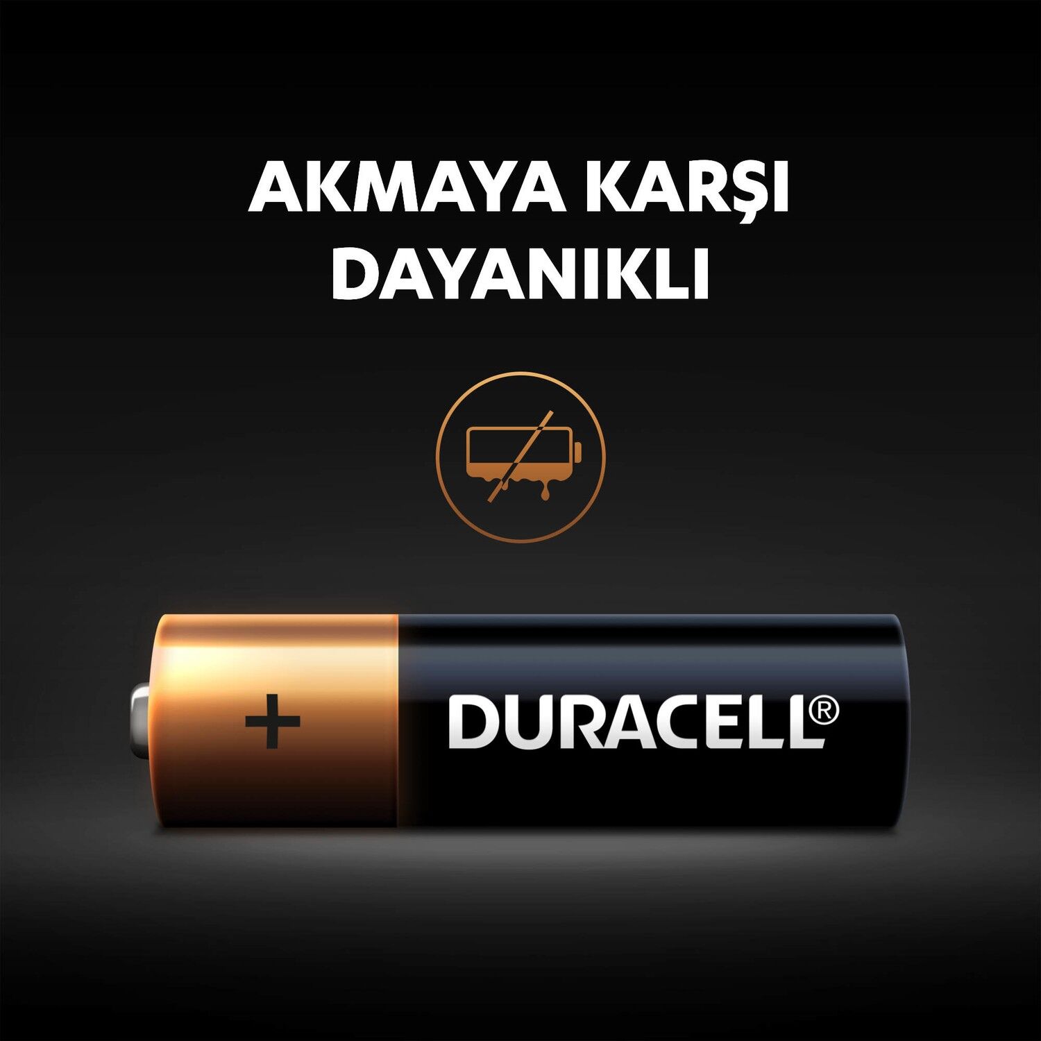 Duracell Basi̇c D Boy Pi̇l 2Li̇