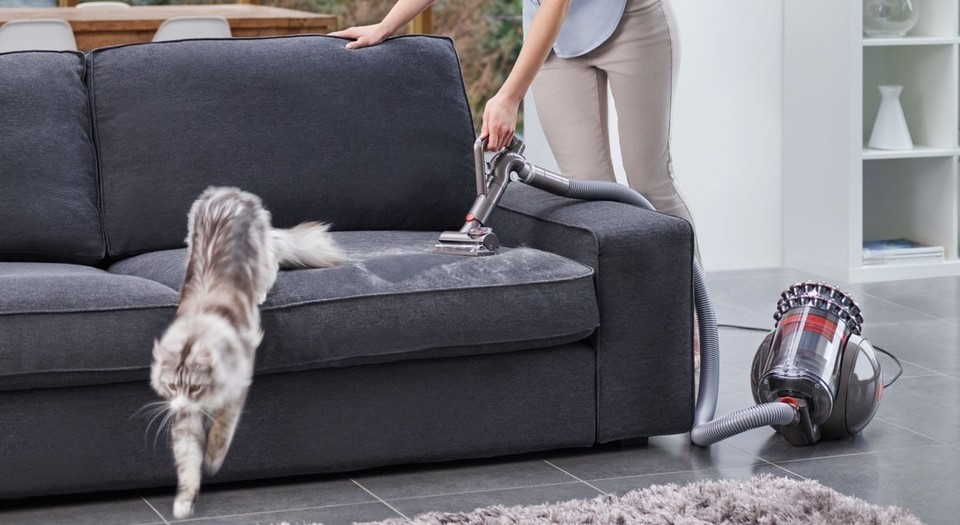 Dyson Cınetıc Bıg Ball Absolute 2 700W Supurge