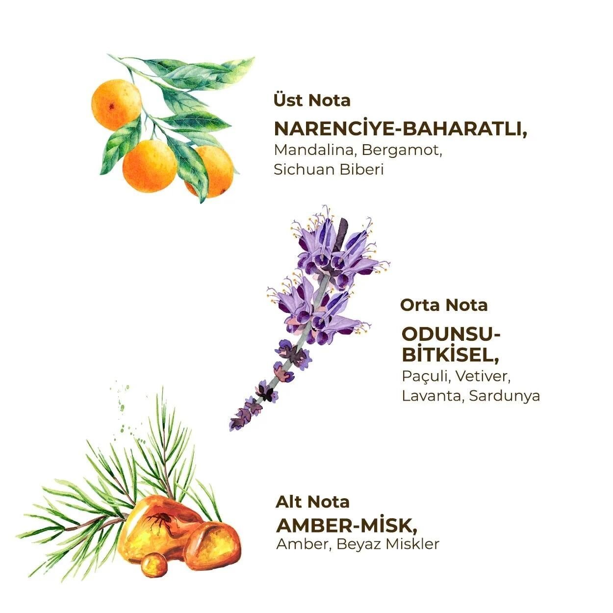 Eyüp Sabri̇ Tuncer Erkek Roll On Deodorant 75 Ml Sport