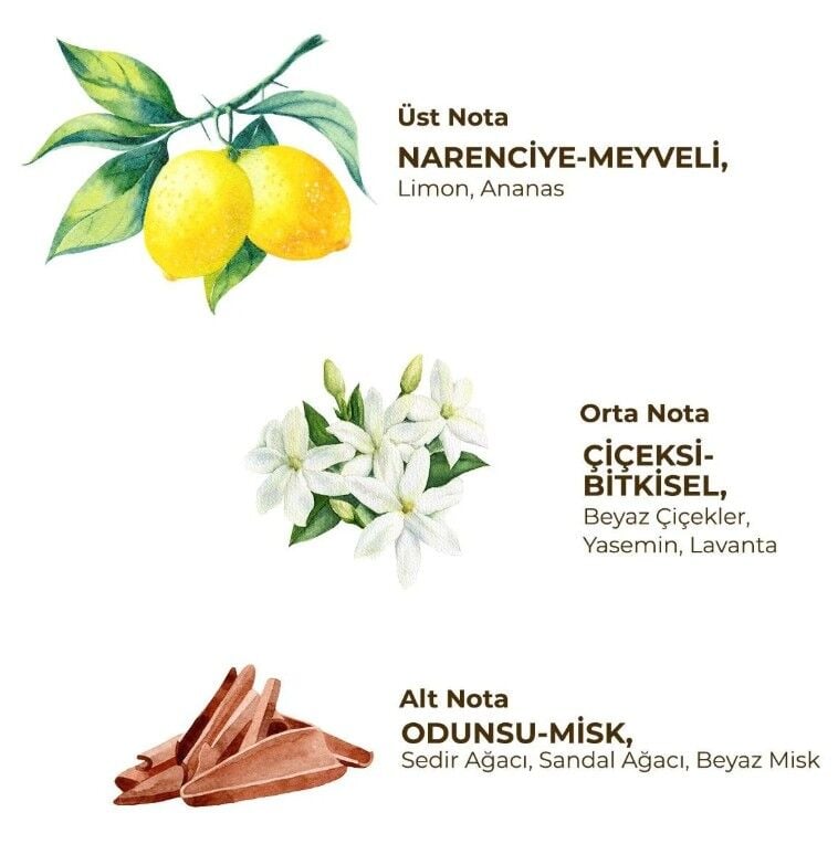 Eyüp Sabri̇ Tuncer Kadın Roll On Deodorant 75 Ml Fresh