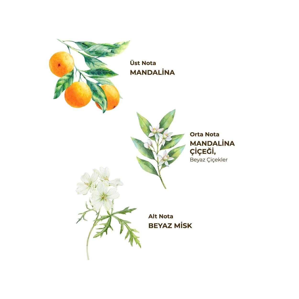 Eyüp Sabri̇ Tuncer Kolonya Pet Şi̇şe Sprey 150Ml Bodrum Mandali̇nası