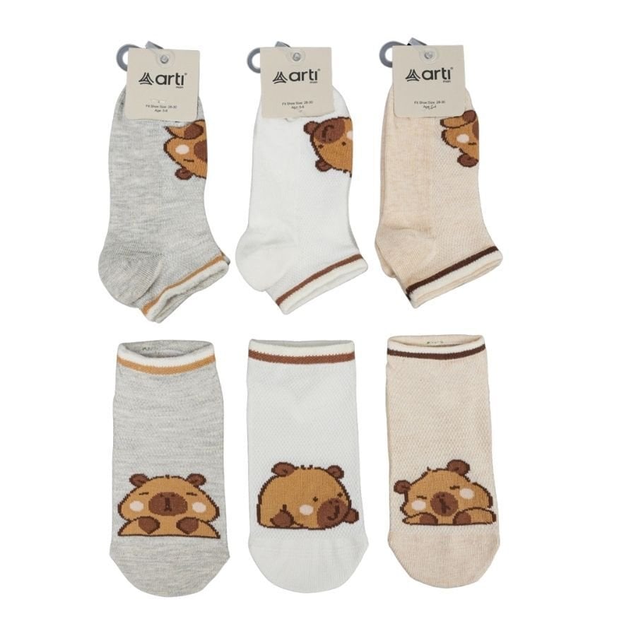 Katami̇no Capy Abs Li̇ Erkek Pati̇k Çorap K20318 Asorti̇