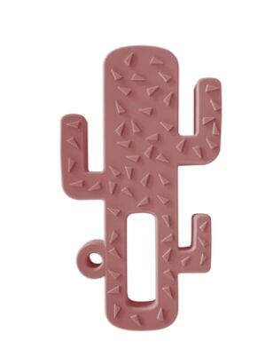 Oi̇oi̇ Di̇ş Kaşıyıcı Kaktüs Velvet Rose