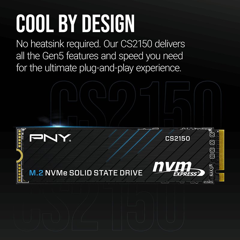Pny Cs2150 2Tb  10200/8500 Nvme Pcıe Gen5X4 M.2 Ssd (M280Cs2150-2Tb-Tb)
