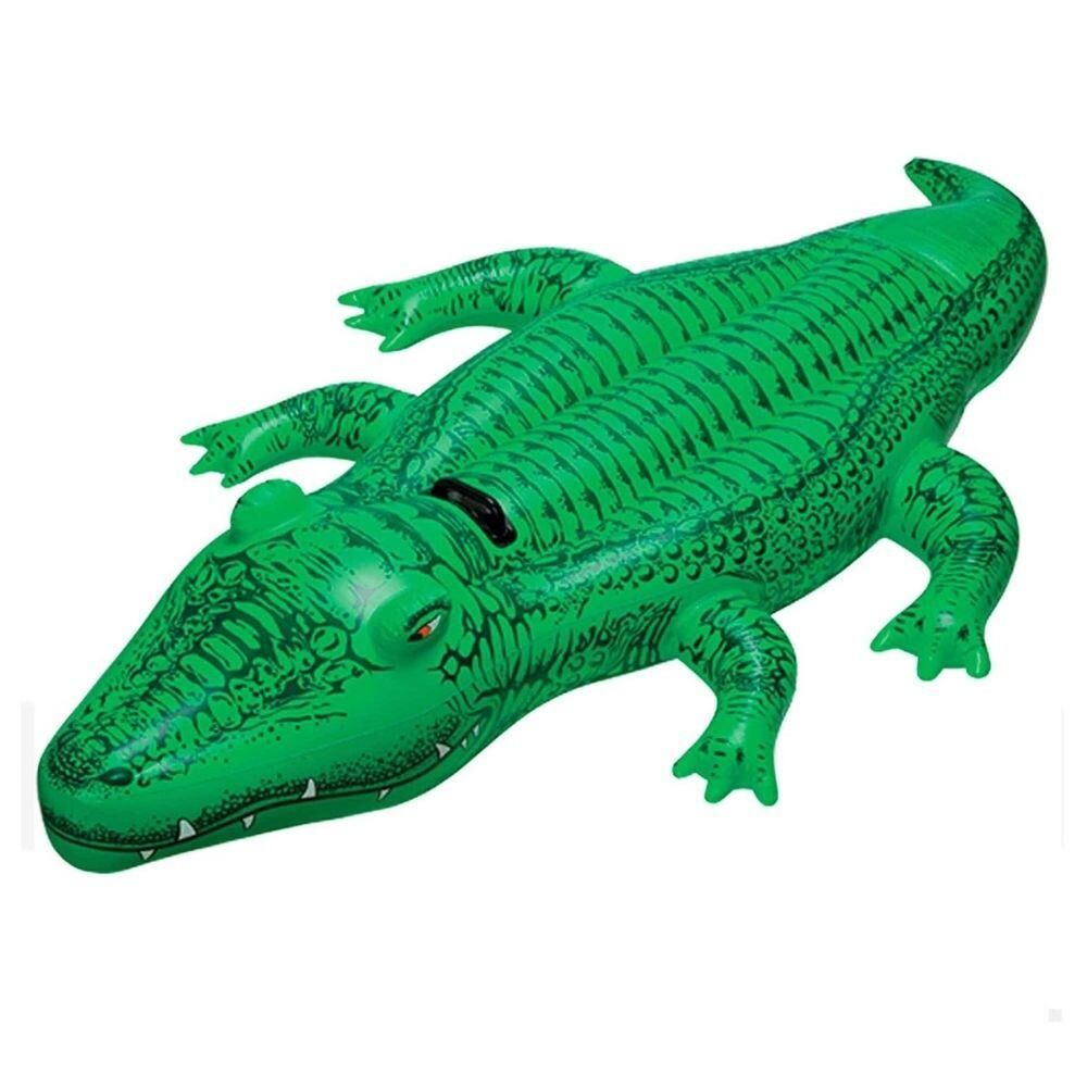 Ti̇msah Bi̇ni̇ci̇ 168X86 Cm İntex - 58546