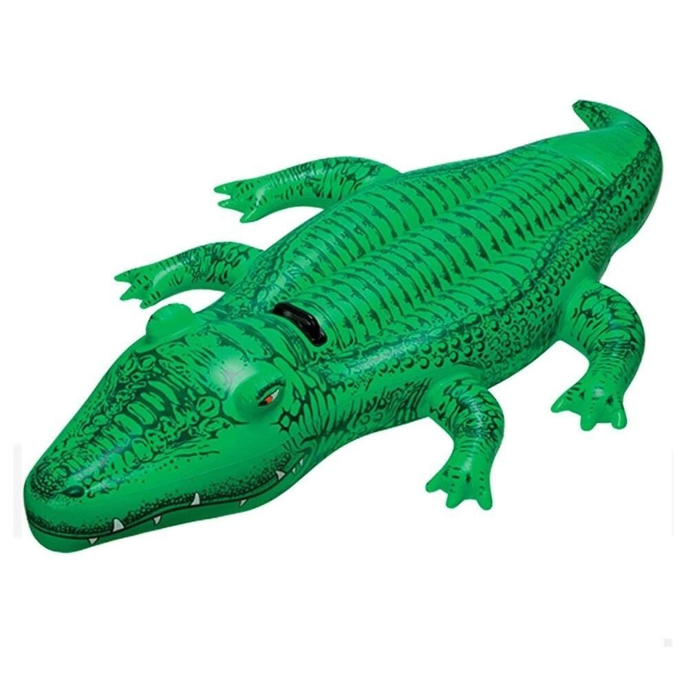 Ti̇msah Bi̇ni̇ci̇ 168X86 Cm İntex - 58546